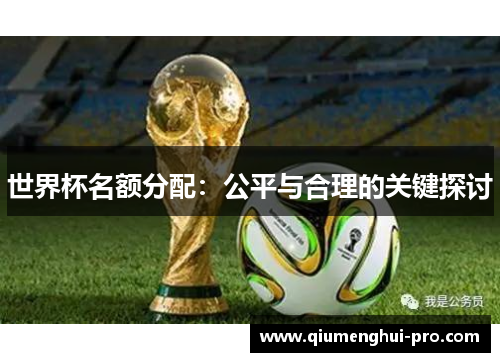 世界杯名额分配：公平与合理的关键探讨