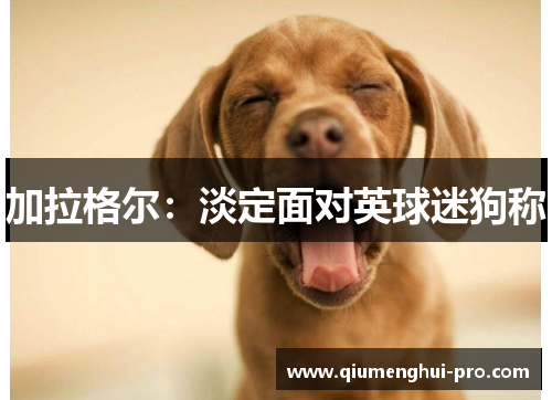 加拉格尔：淡定面对英球迷狗称