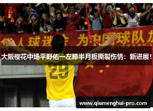 大阪樱花中场平野佑一左膝半月板撕裂伤情：新进展！