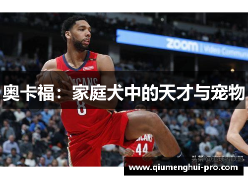 奥卡福：家庭犬中的天才与宠物